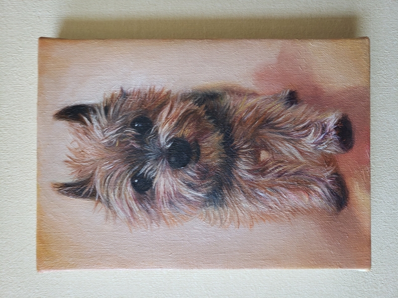 ペット似顔絵まむすてゆ作品例