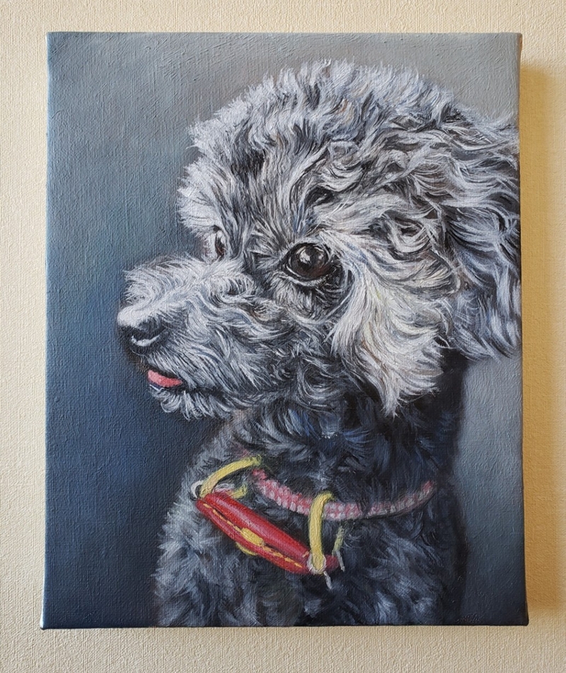 ペット似顔絵まむすてゆ作品例