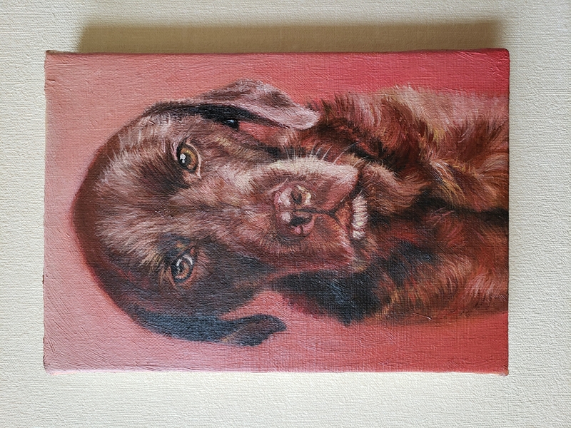 ペット似顔絵まむすてゆ作品例